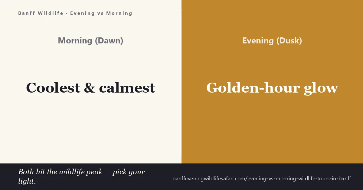 Evening vs morning wildlife tours in Banff — split scene of golden dusk light and cool dawn mist over the Bow Valley